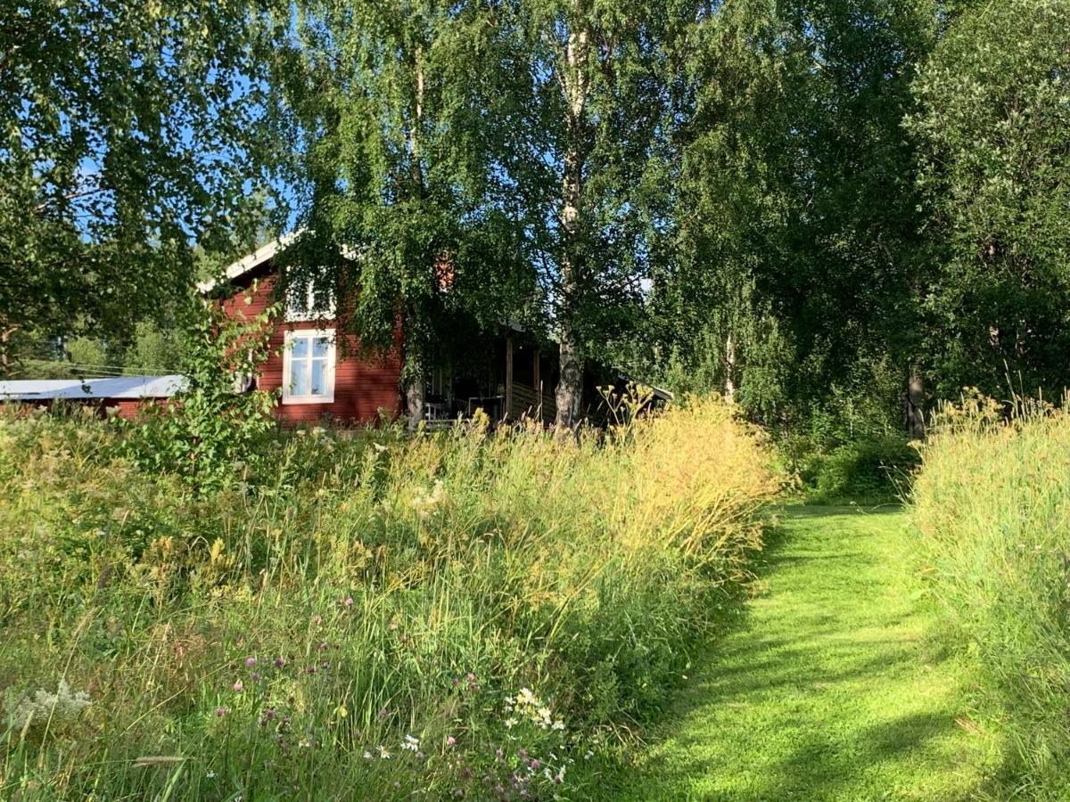 Bogaerdan, Cozy Cabin By The Lulea River Harads Zewnętrze zdjęcie